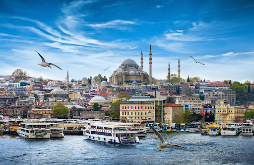 Time Taken To Process Turkish E-Visa